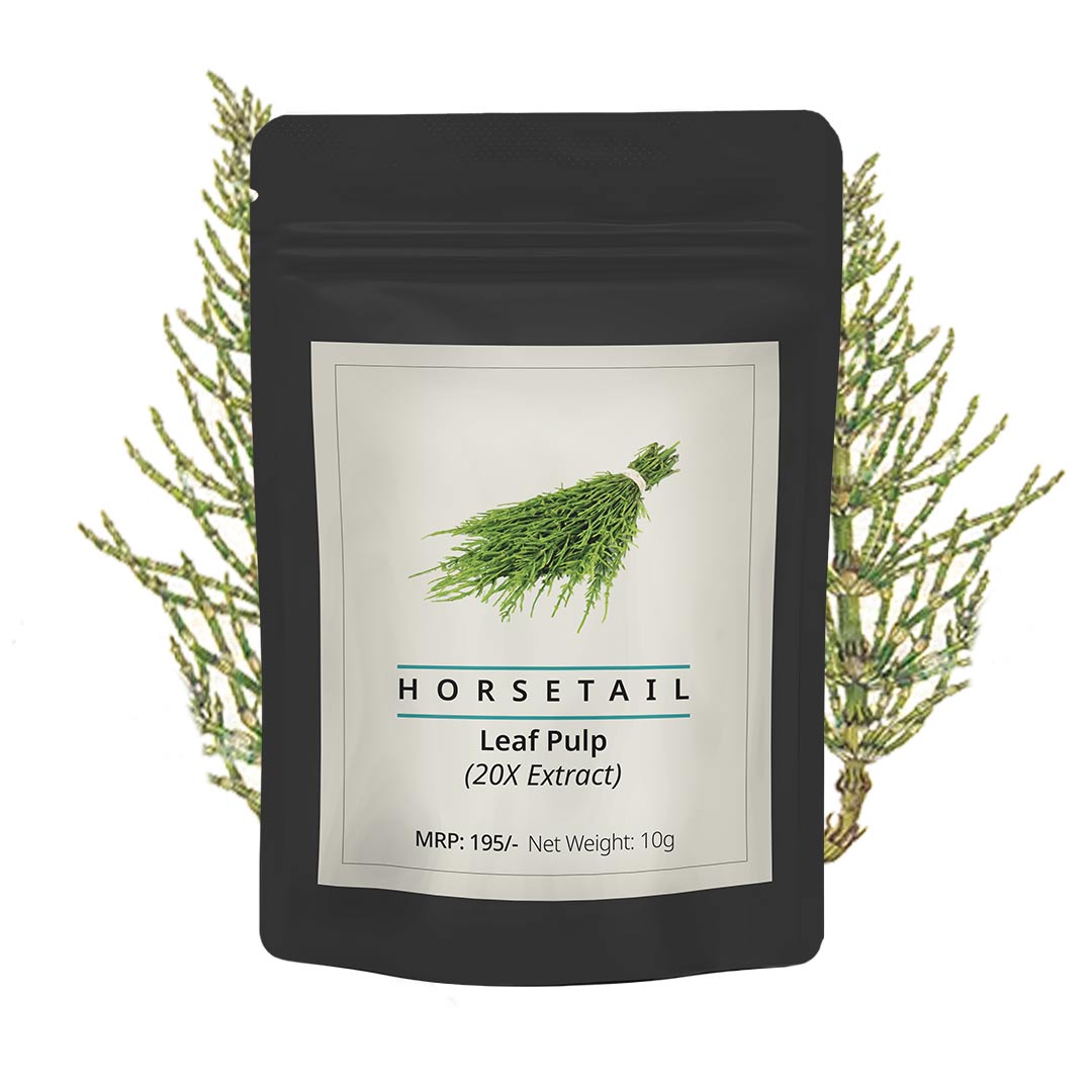 Horsetail Leaf Extract - Organic 10g