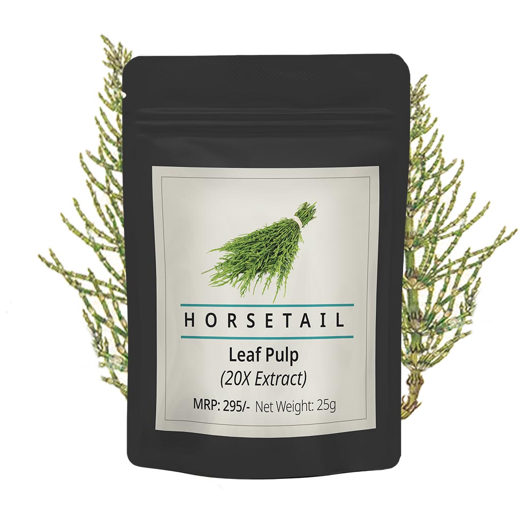 Horsetail Leaf Extract - Organic 25g