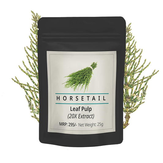 Horsetail Leaf Extract - Organic 25g