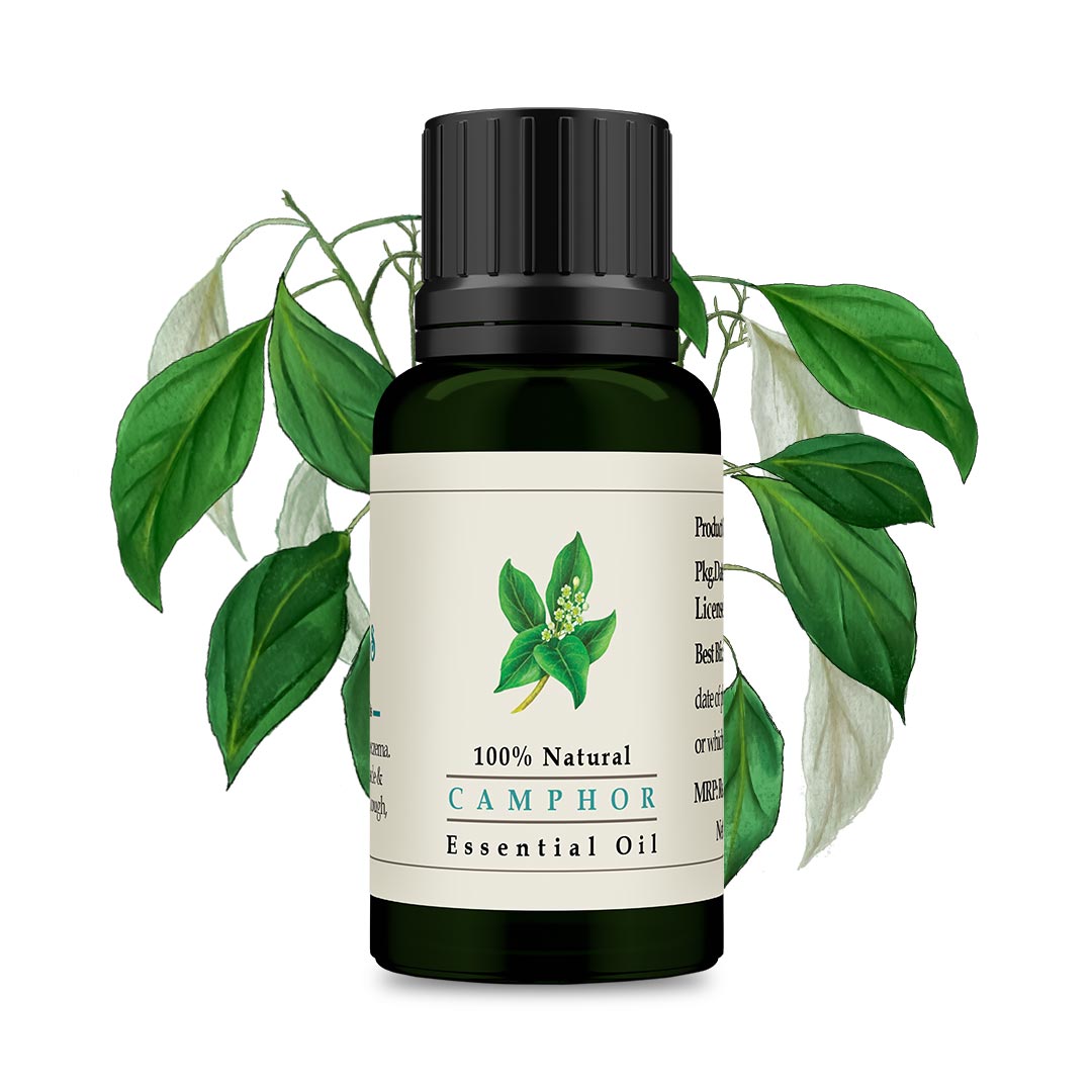 Camphor Essential Oil - Certified Organic 15ml