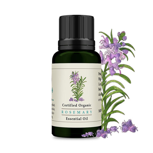 Rosemary Essential Oil - Certified Organic 30ml