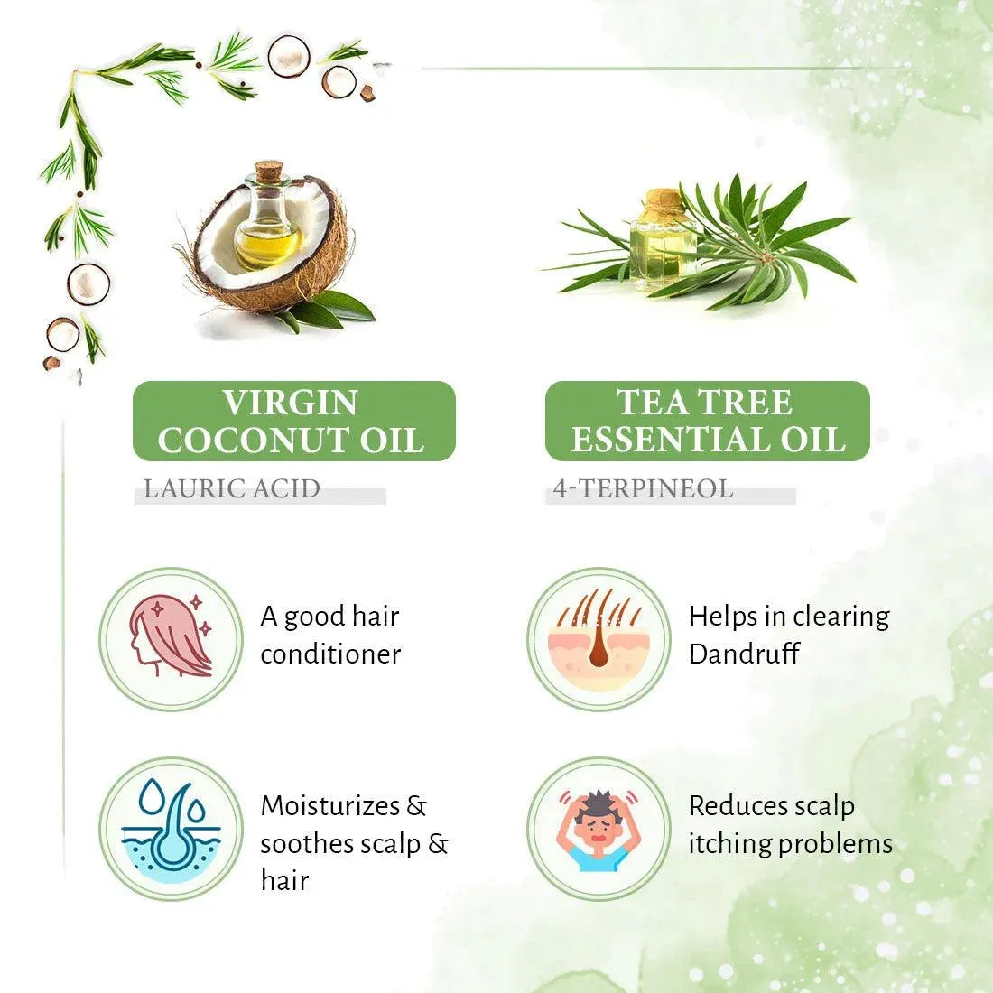 Rosemary Tea Tree Coconut Shampoo, Hair Growth Reduces Dandruff Oiliness Itching, Natural Coconut Derived Foaming + Hair Conditioner 200ml