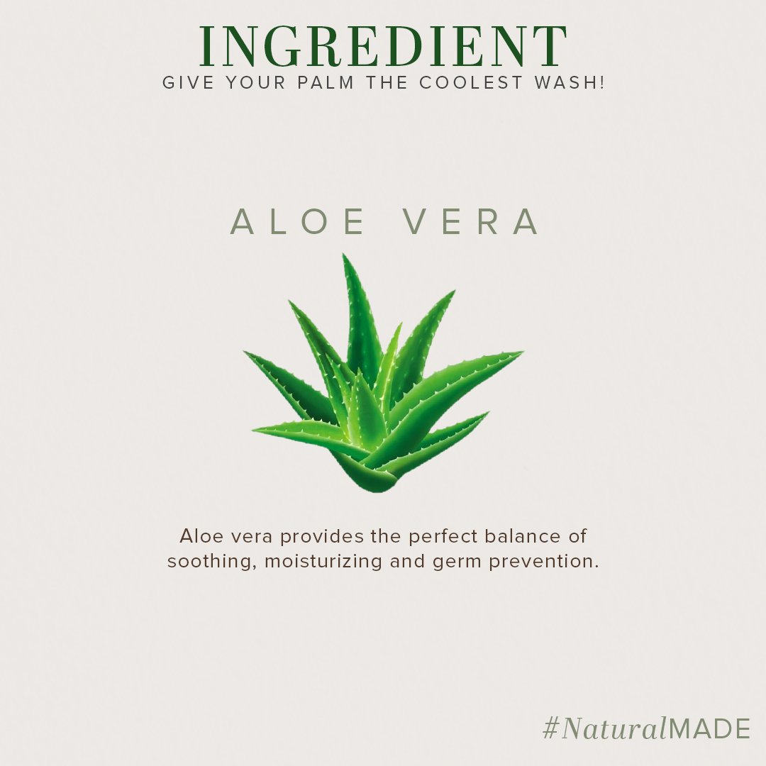 Everyday Protection Aloe Vera Handwash 300ml