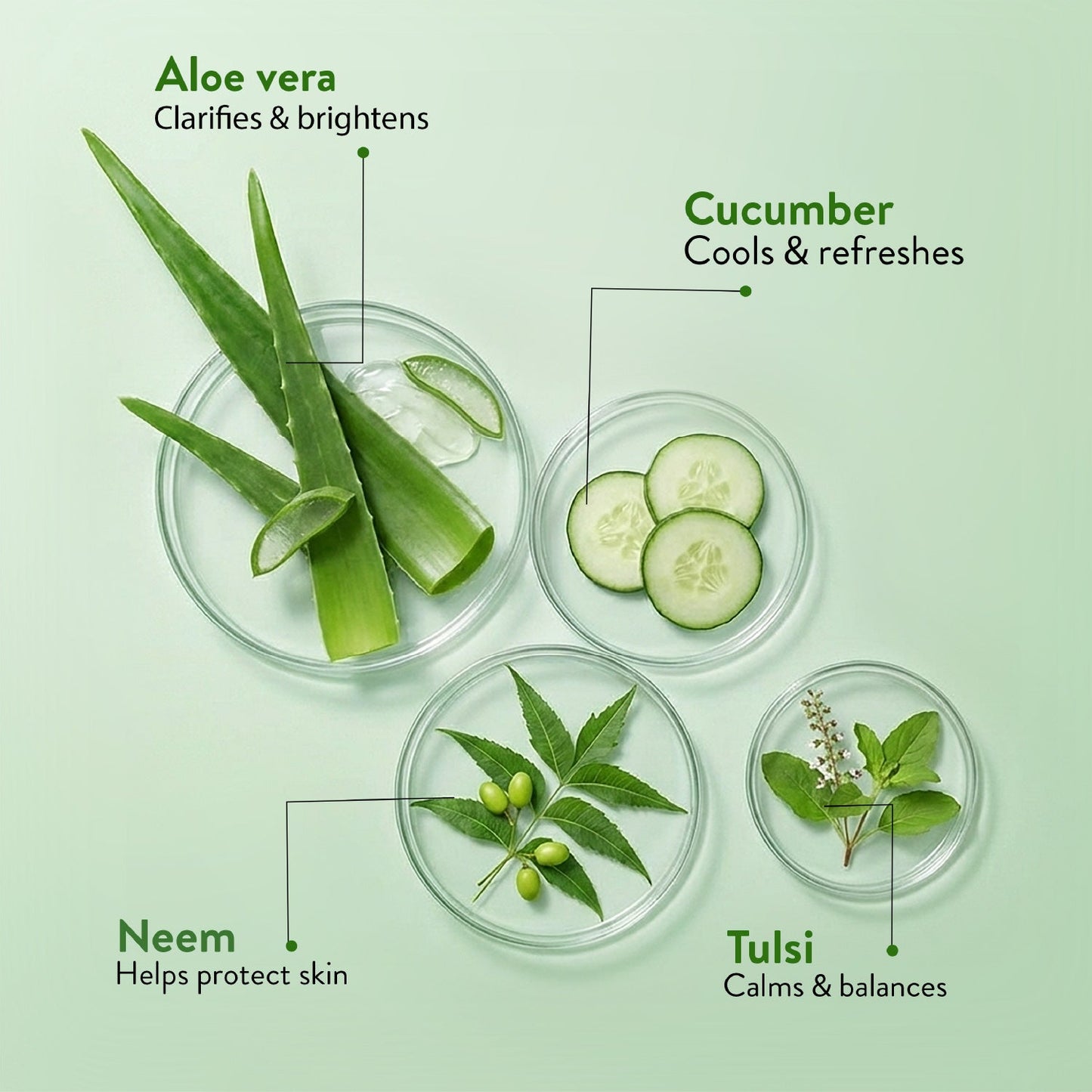 Aloe Vera Gel | Multi-Purpose Gel For Face, Body & Hair | Calms Sunburn & Promotes Even Skin Tone | Non-Greasy Hydrating formula With Neem, Tulsi & Cucumber Extracts | Net. qty - 150g - Set of 2 150g