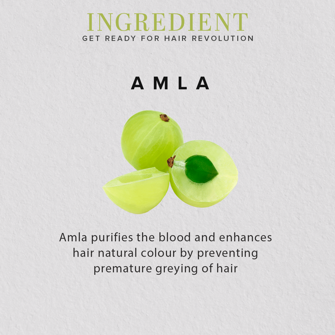 Organic Amla Fruit Powder For Hair Care - 100% Natural 100gm