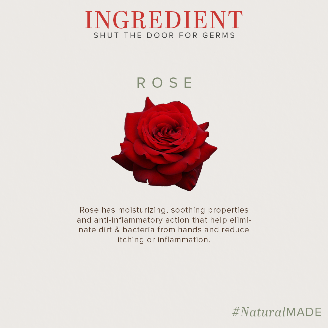 Anti Germ Rose Handwash 300ml