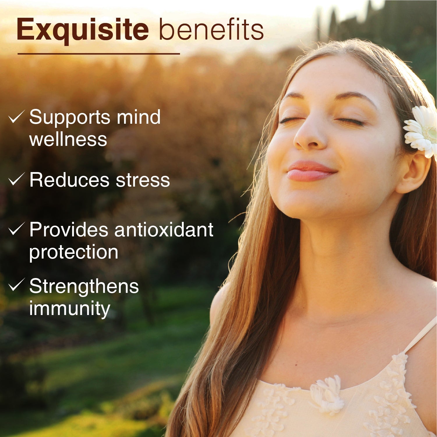 Brahmi Powder | Pure Bacopa monnieri Brain Tonic for Memory, Focus & Stress Relief | Antioxidant-Rich Ayurvedic Support for Cognitive Function, Mental Clarity & Immunity | Net Qty: 200g 200g