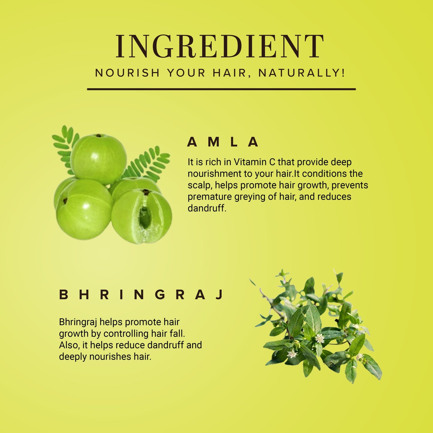 Amla & Bhringraj Hair Conditioner - Paraben, Silicones, Sulphate, Color, Salt & Artificial Fragrance Free 310ml