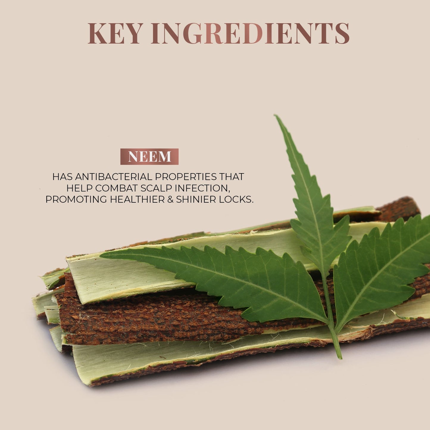Handmade Wide-Tooth Neem Comb 35g