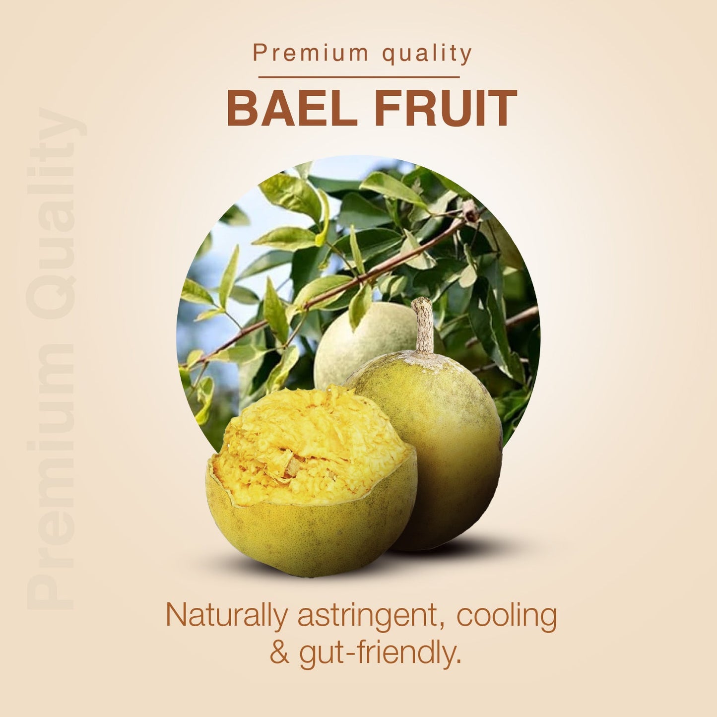 Bael Fruit Powder with Pure Sun-Dried Bael (Aegle marmelos) for Digestive Balance, Gut Comfort, Cooling Relief & Healthy Bowel Function – Natural Ayurvedic Digestive Support – Net Qty: 200 g 200g