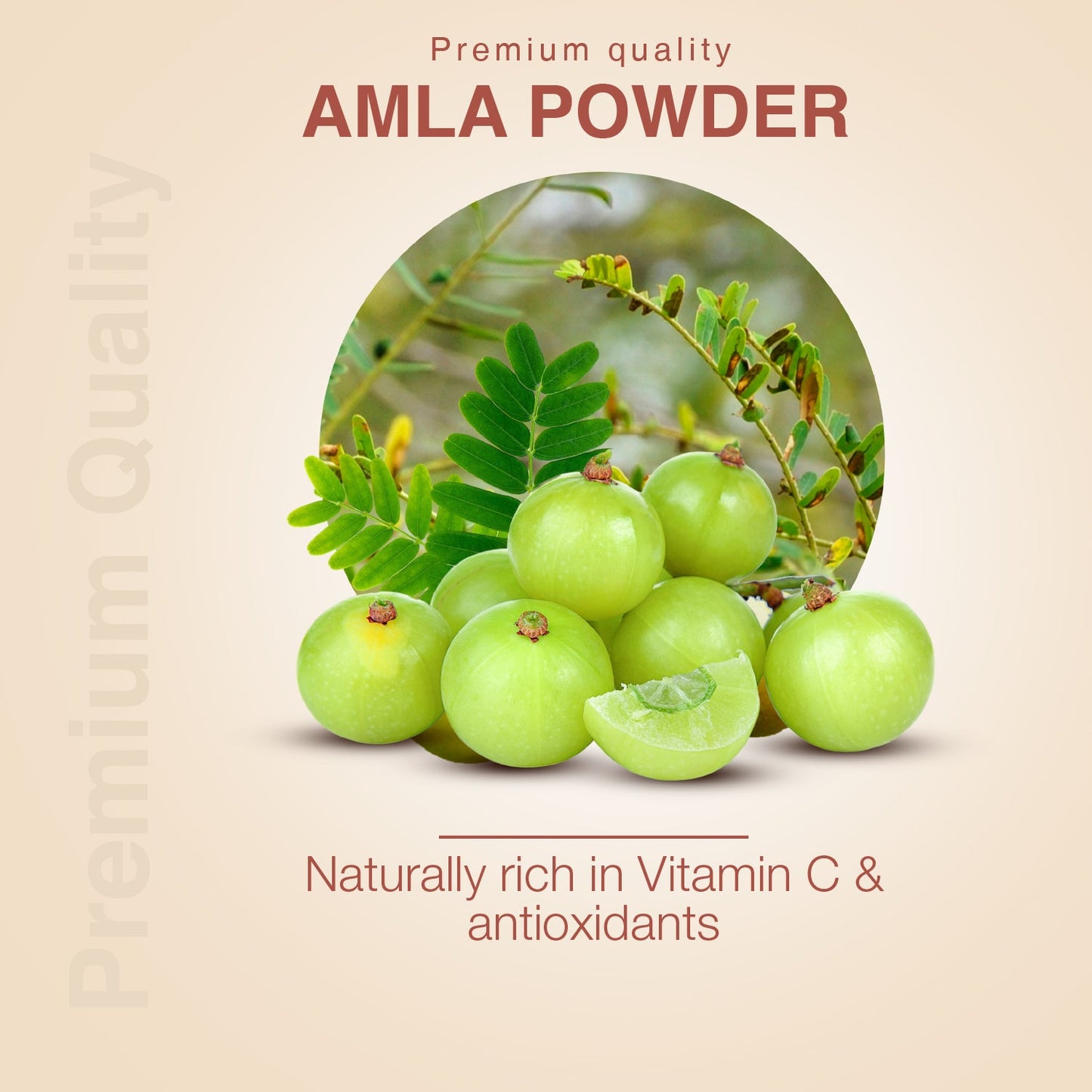 Amla Powder – Indian Gooseberry for Immunity, Hair, and Skin Wellness - Net Qty: 200g 200g
