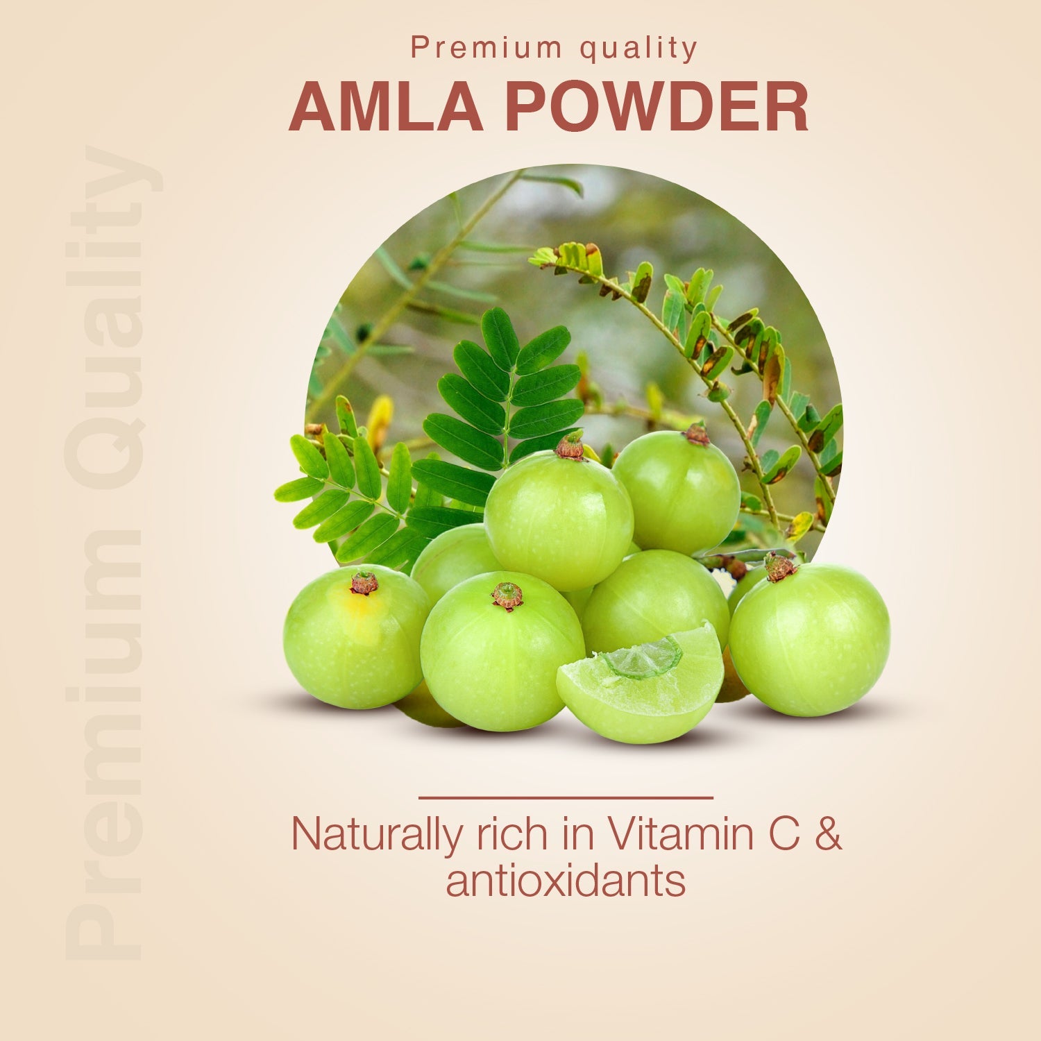 Amla Powder – Indian Gooseberry for Immunity, Hair, and Skin Wellness - Net Qty: 200g 200g