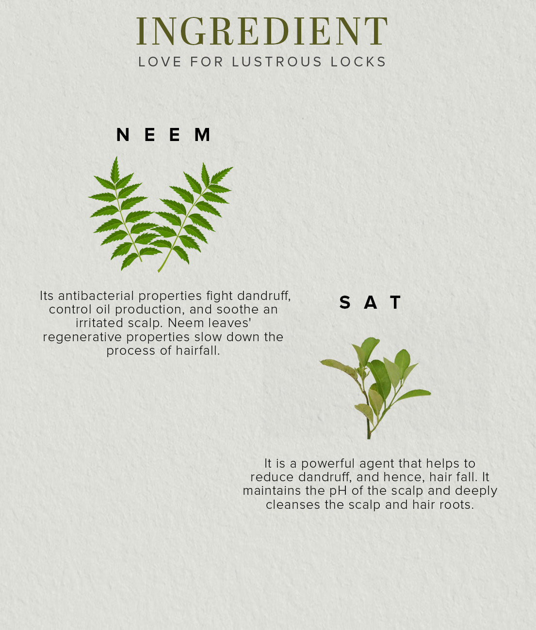 Neem Sat Hair Cleanser 210ml