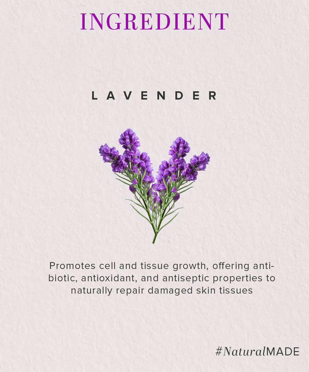 Lavender Moisturizer with Sheabutter - Paraben Free 210ml
