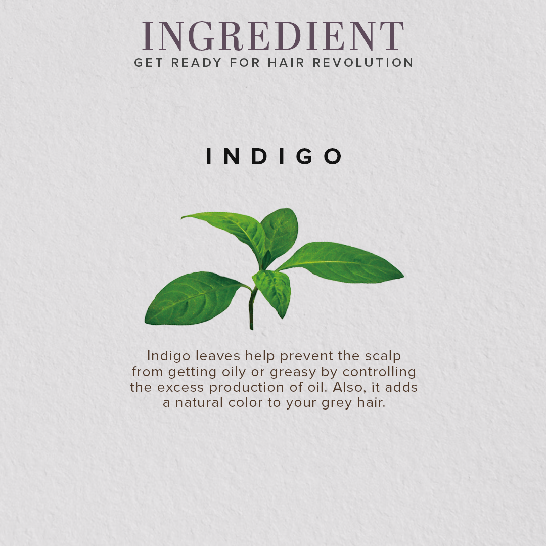 Organic Indigo Leaf Hair Color Powder - 100% Natural 100gm