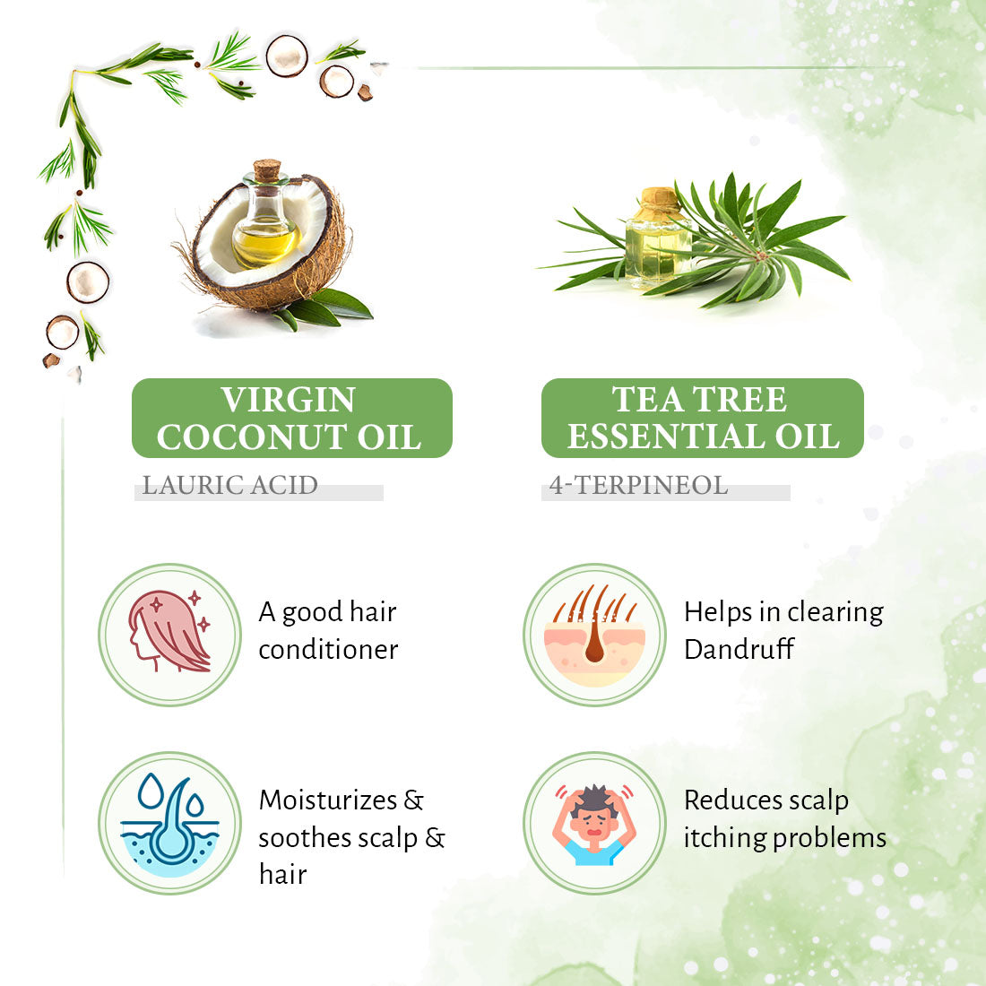 Rosemary Tea Tree Coconut Serum & Shampoo Combo: Reduces Dandruff & Scalp Itching, Hair Growth, Blocks DHT, Steam Distilled Essential Oil, Virgin Coconut Oil With Biotin Caffeine Vitamin E B5 230ml