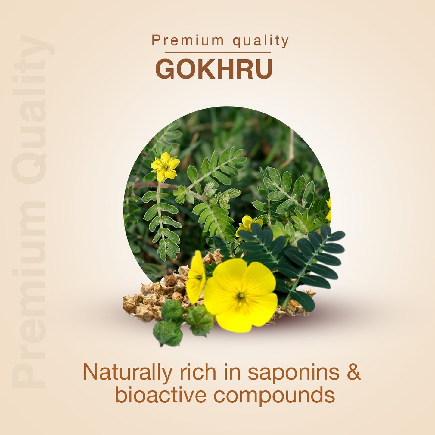 Gokhru Powder | Pure Ayurvedic Tribulus terrestris for Strength, Stamina & Vitality | Supports Muscle Growth, Kidney & Urinary Health | Natural Energy & Performance Booster | Net Qty: 200g 200g