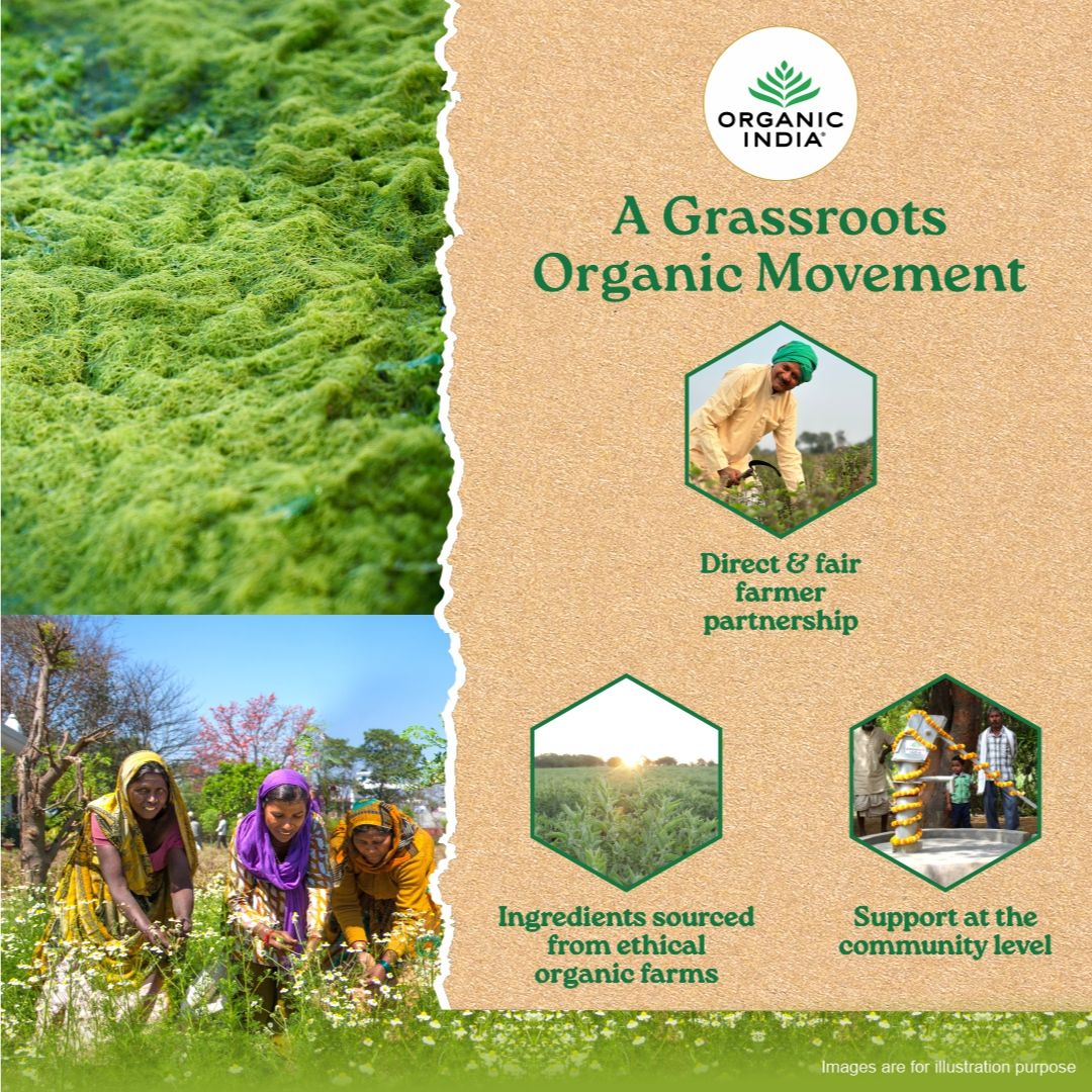 Wheatgrass Powder