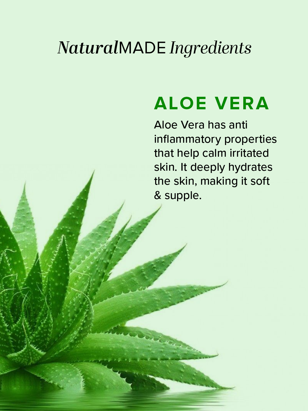 Aloe Vera Soap Combo Value Pack of 8 125gm Each