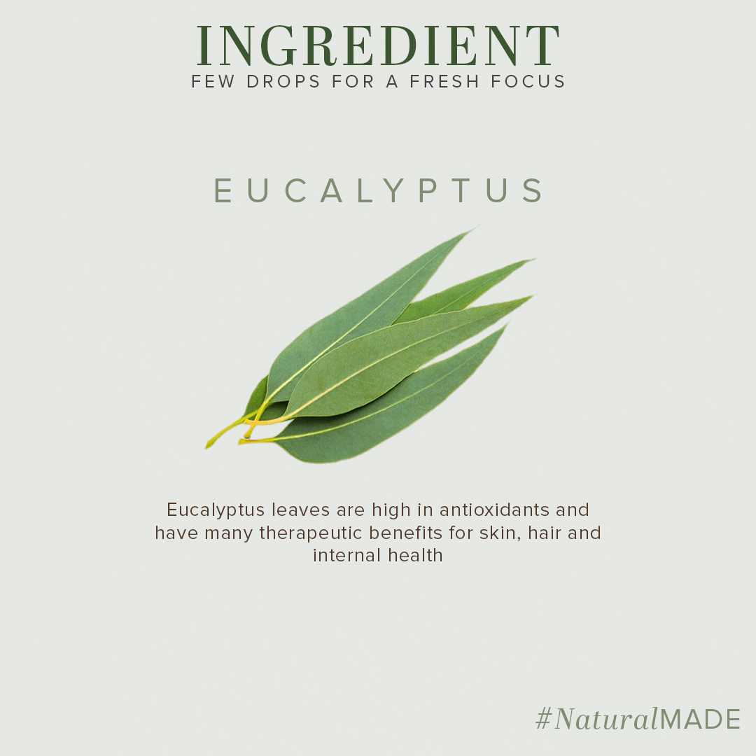 Eucalyptus - Pure Essential Oil 15ml