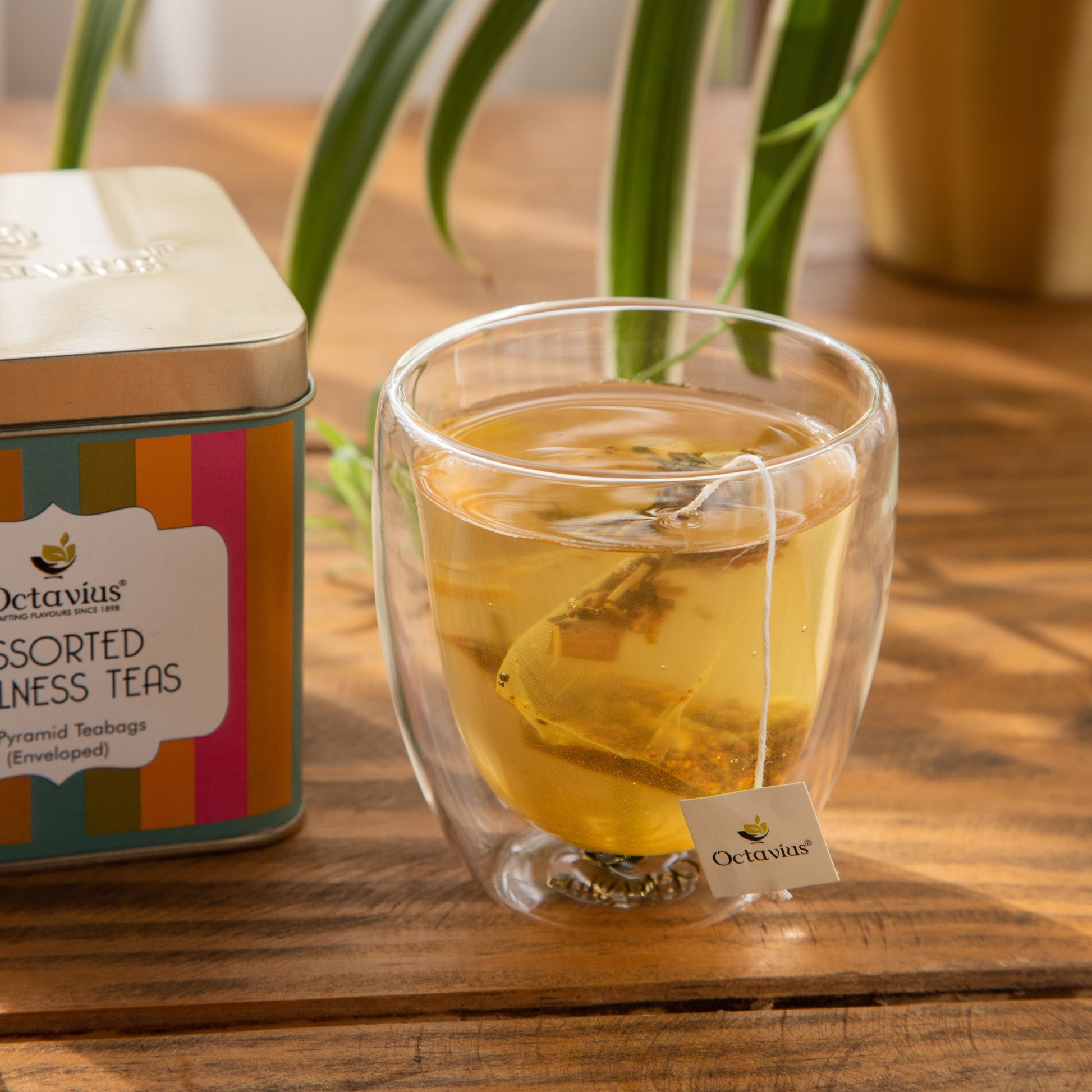 Assorted Wellness Teas (10 Pyramid Teabags) 10 Pyramid