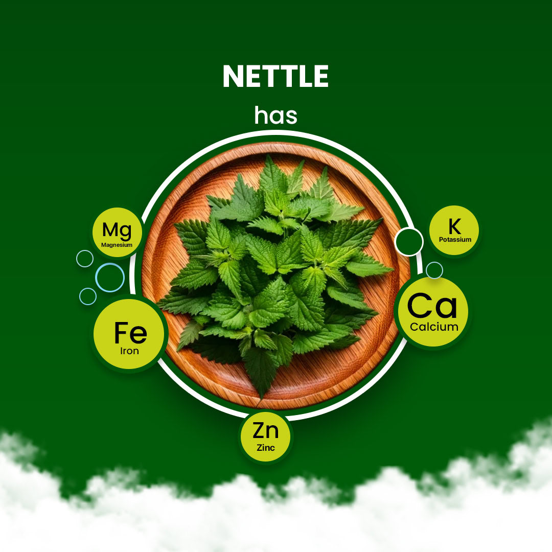 Nettle Herbal Tea - 60 Tea Bags 60 Tea Bags
