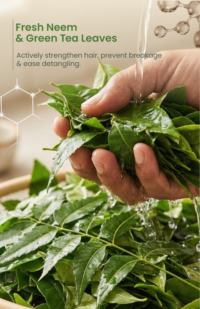Neem Green Tea Nutri-Conditioner for Dandruff-Stressed Hair 150ml