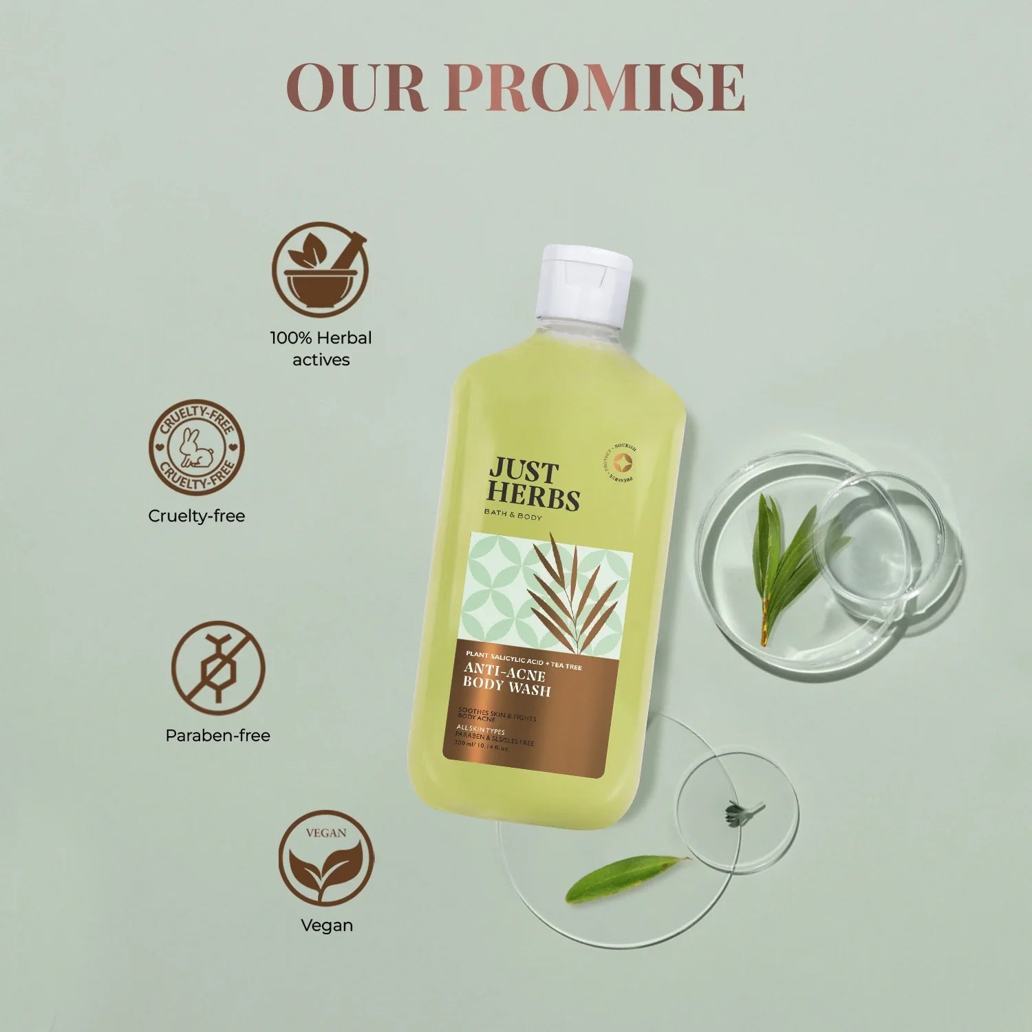 Tea Tree Anti-acne Body Wash with Plant Salicylic Acid 300ml
