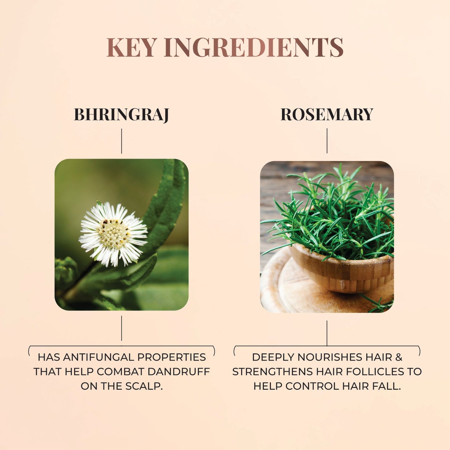 Nourishing Hair Cream with Bhringraj & Rosemary 100g