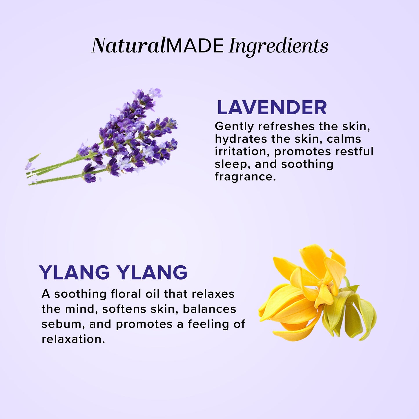 Lavender & Ylang Ylang Massage Oil Paraben Mineral Oil Free 210ml