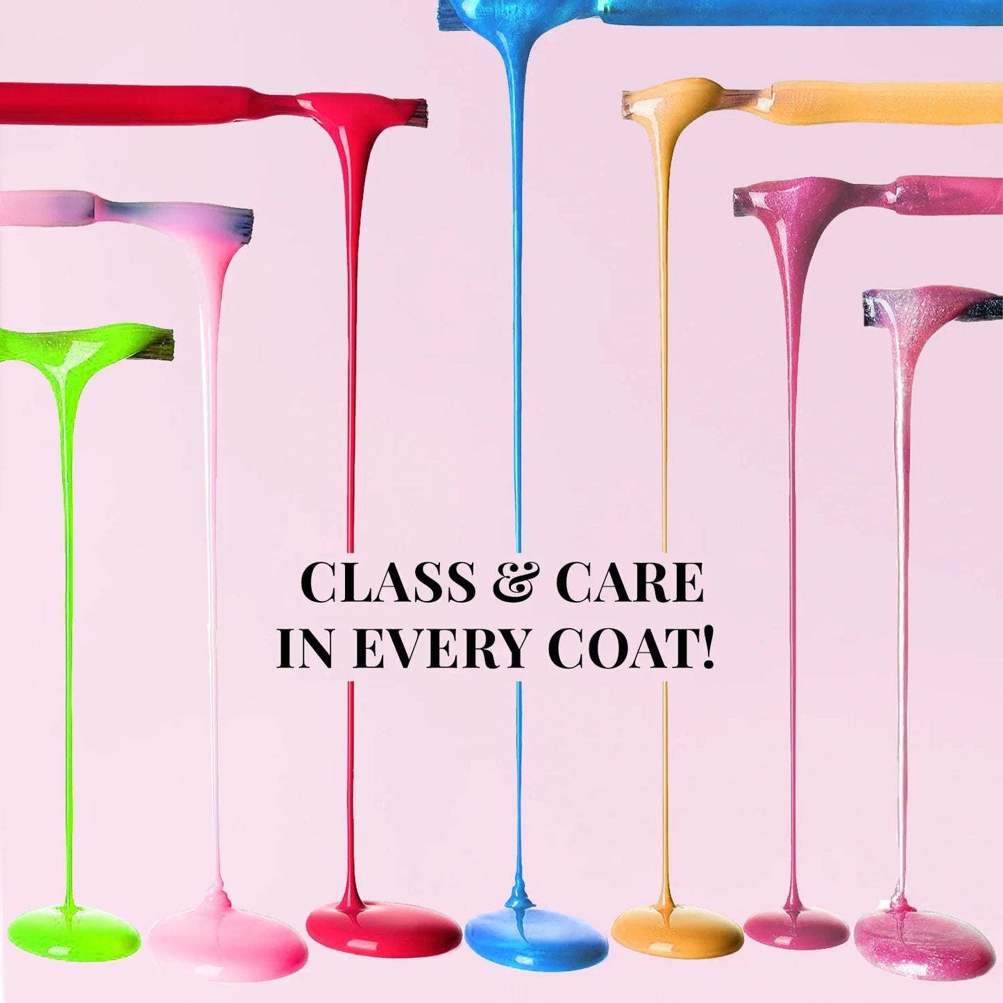 Nail Paints | 12-Free Formula 6g