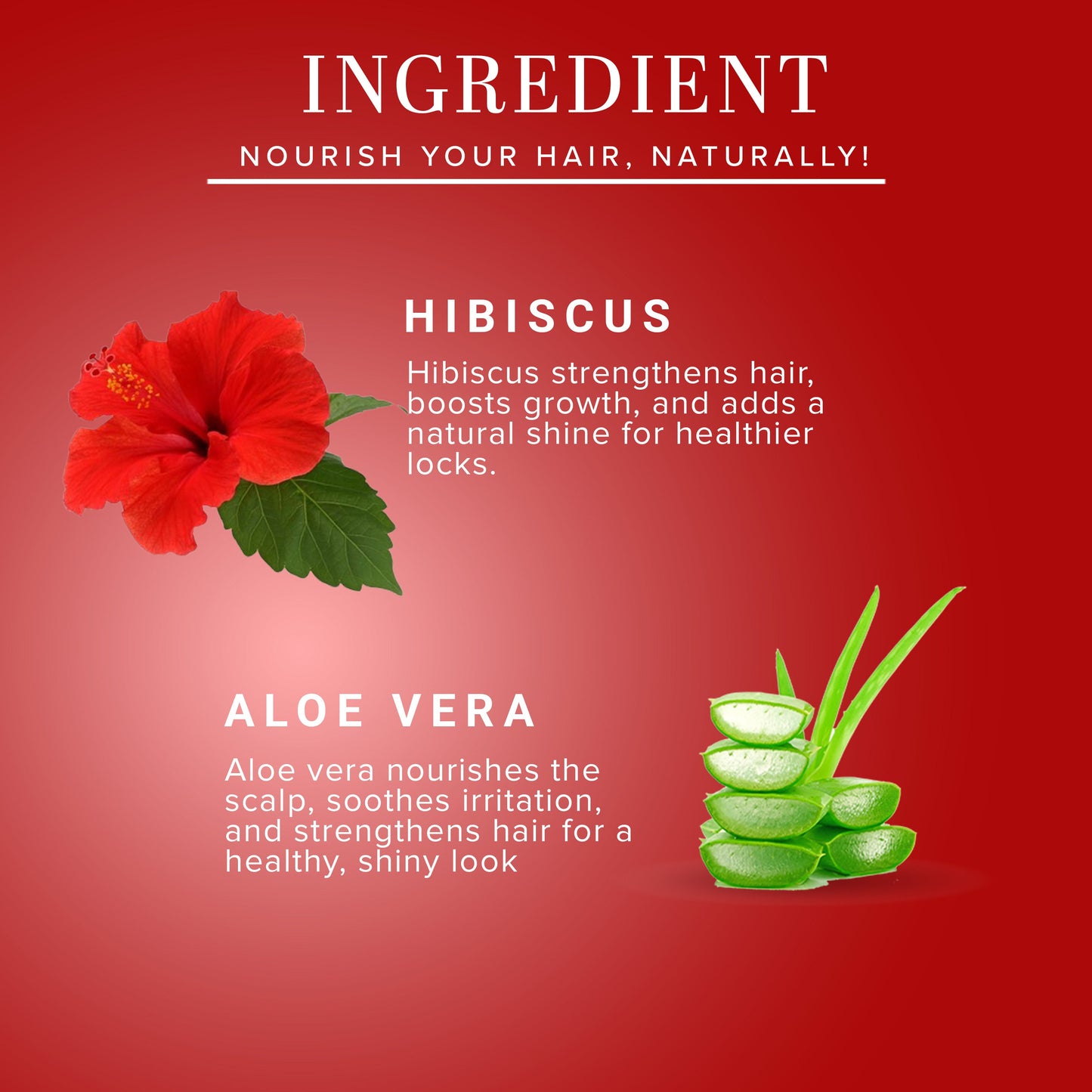 Hibiscus & Aloe Vera Hair Conditioner - Parabens, Silicones, Sulphate, Color, Salt & Artificial Fragrance Free 310ml