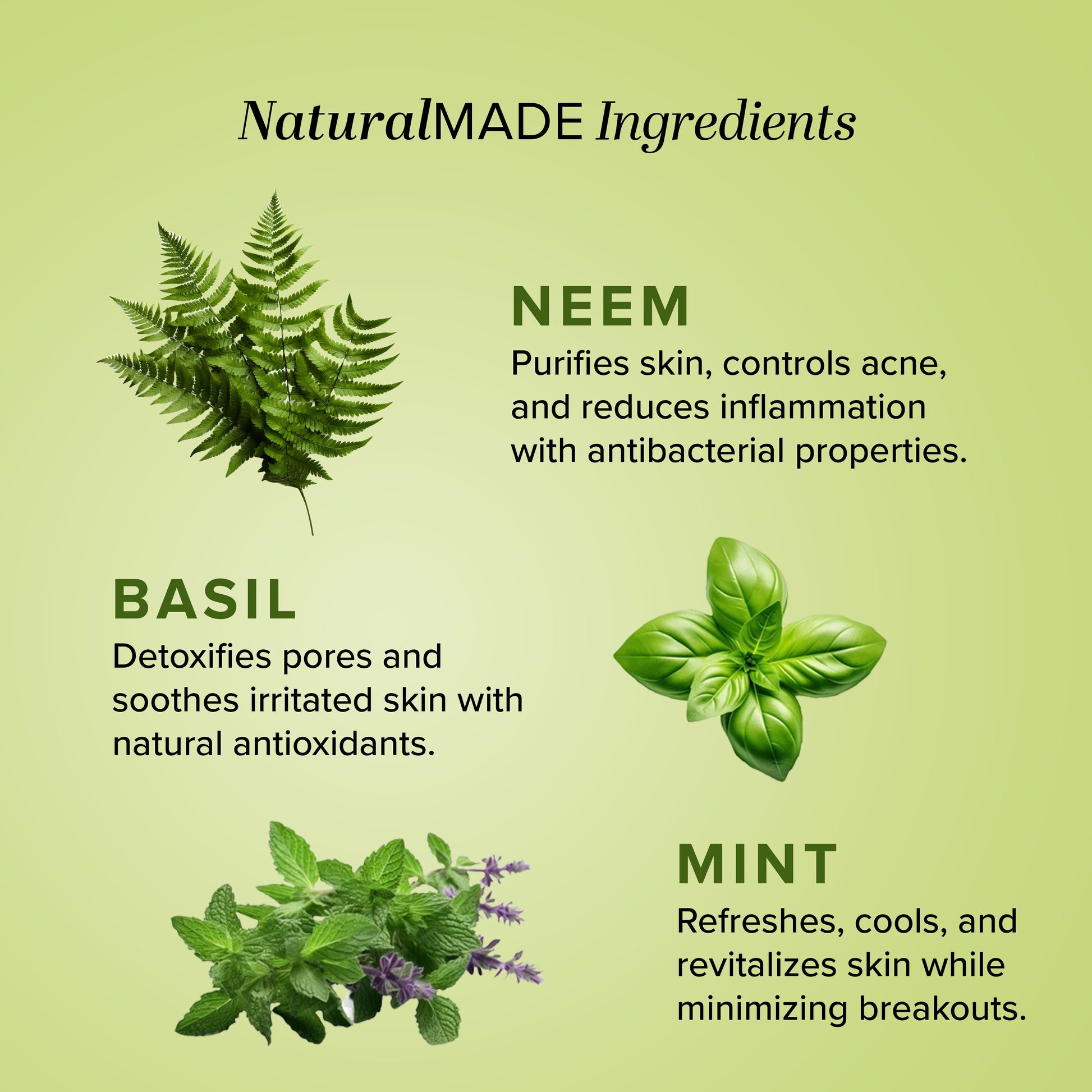 Neem, Basil & Mint Face Pack 100gm