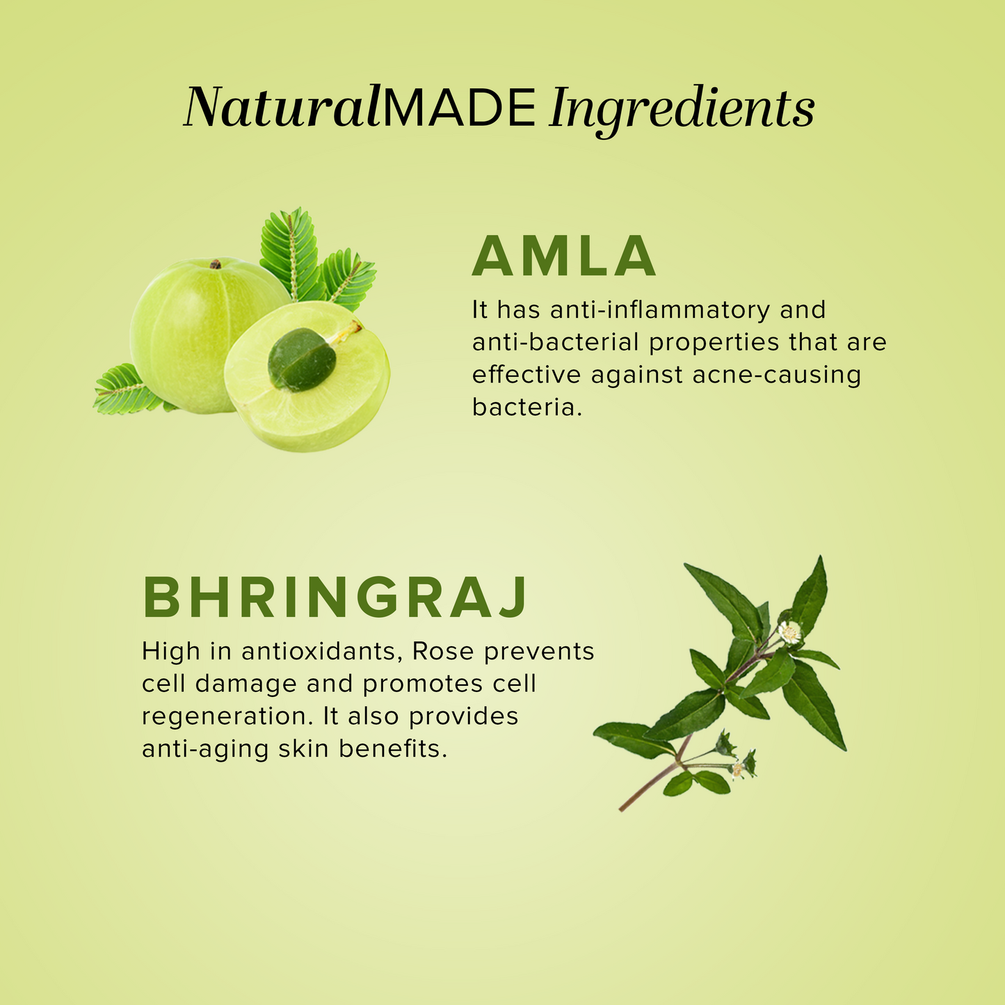 Amla & Bhringraj Hair Cleanser 1