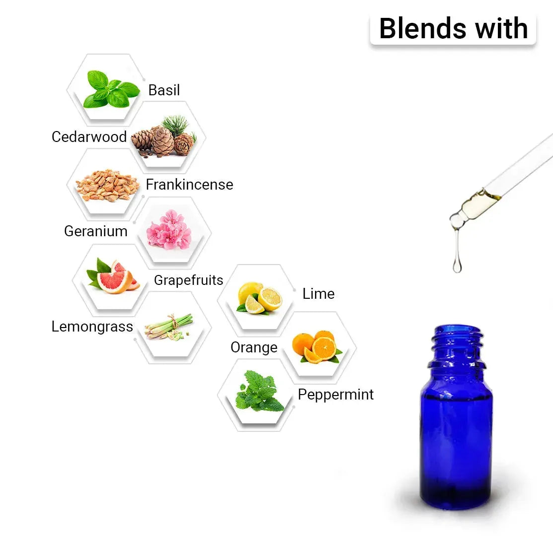 Rosemary Essential Oil, Natural Therapeutic Grade, Hair Growth, Hair Fall Control & Nourishment, Even Skin Tone 10ml 10ml