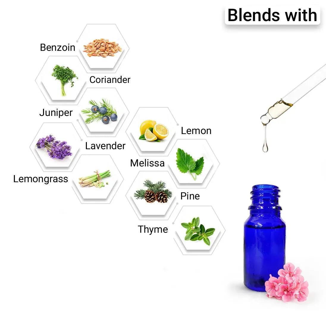 Geranium Essential Oil, Therapeutic, Pure & Natural, Balances Sebum, Increases Collagen & Blood Flow, Breast Toner & Regulates Hormone 10ml 10ml