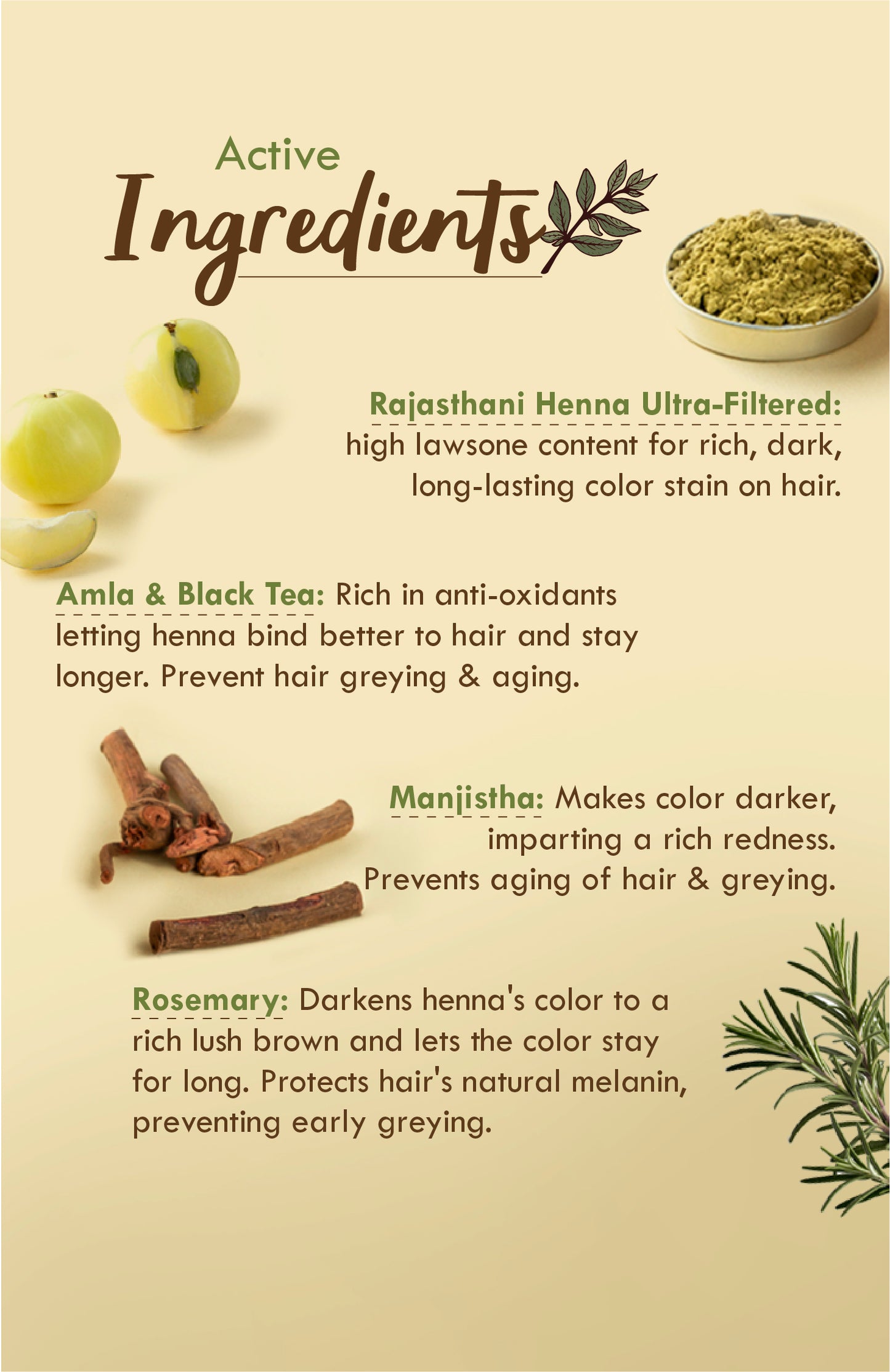 Ready to Apply Fresh Henna Paste 220g × 2