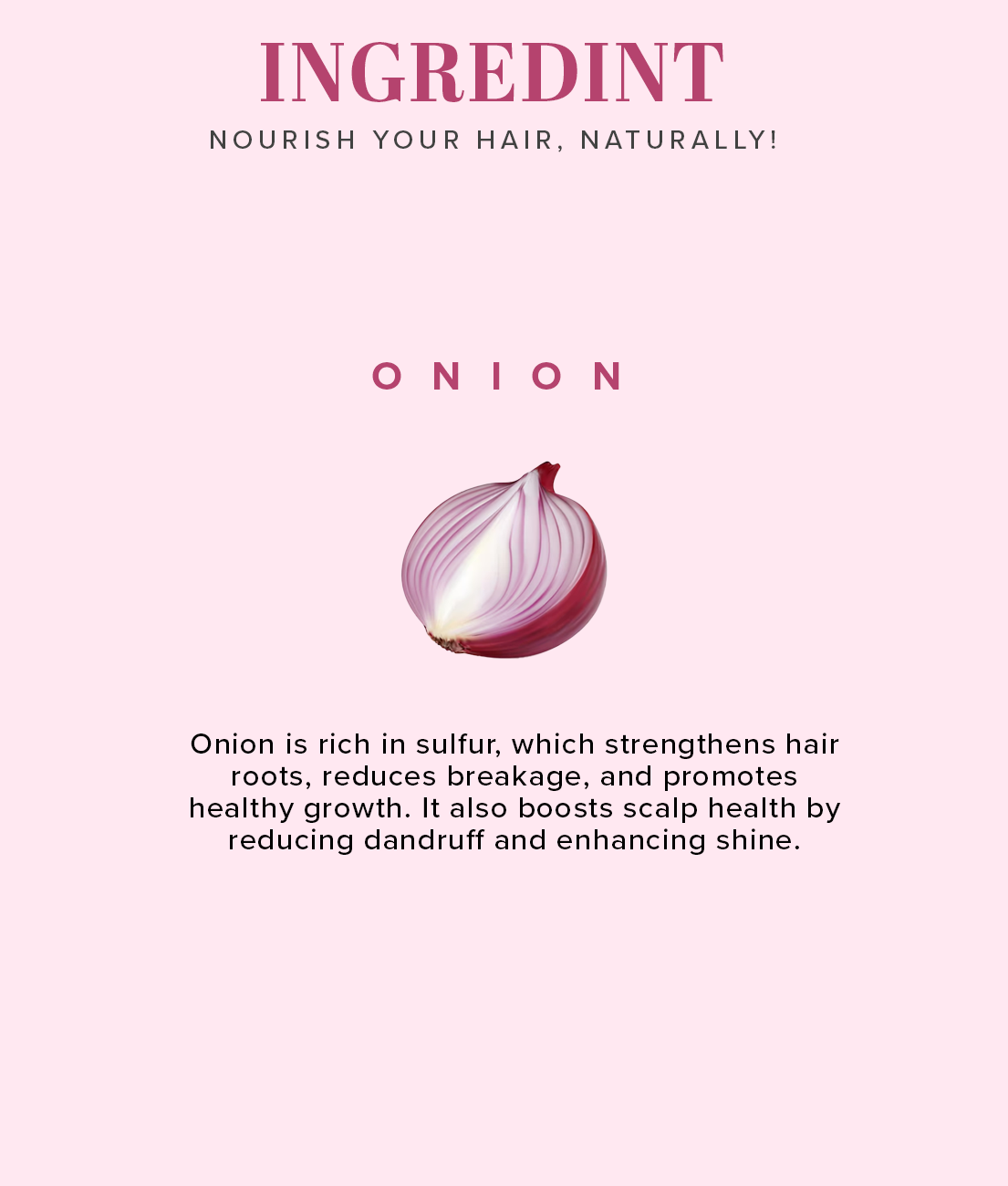 Onion Shampoo For Hair Fall Control SLS & Paraben Free 650ml