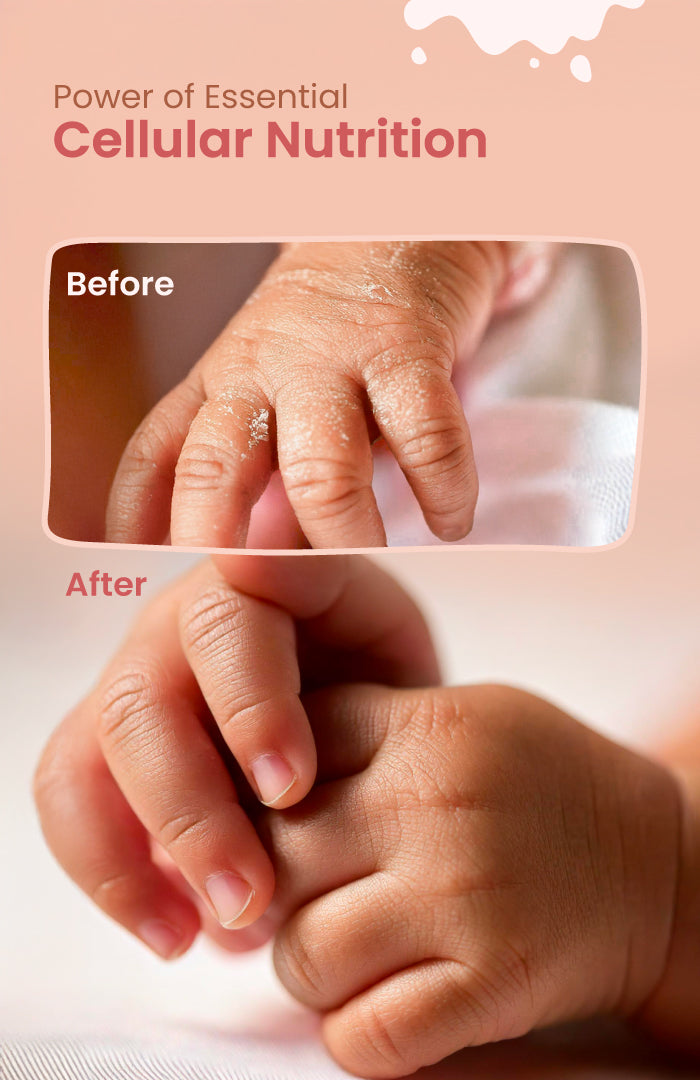Almond & Date Fresh Baby Malai Lotion 200ml