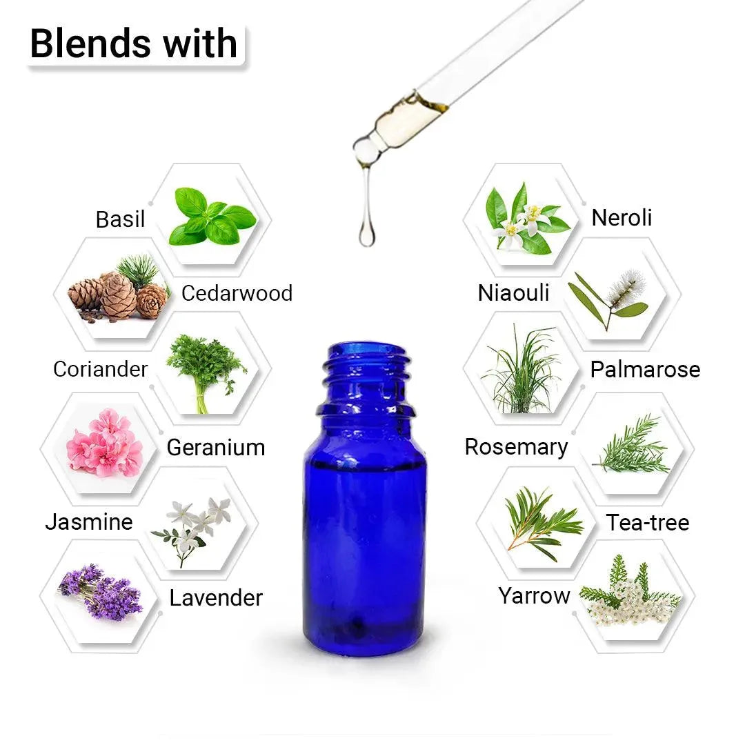 Lemongrass Essential Oil, Therapeutic, Pure & Natural, Stimulates & Energies Body and Mind, Insecticide 10ml 10ml