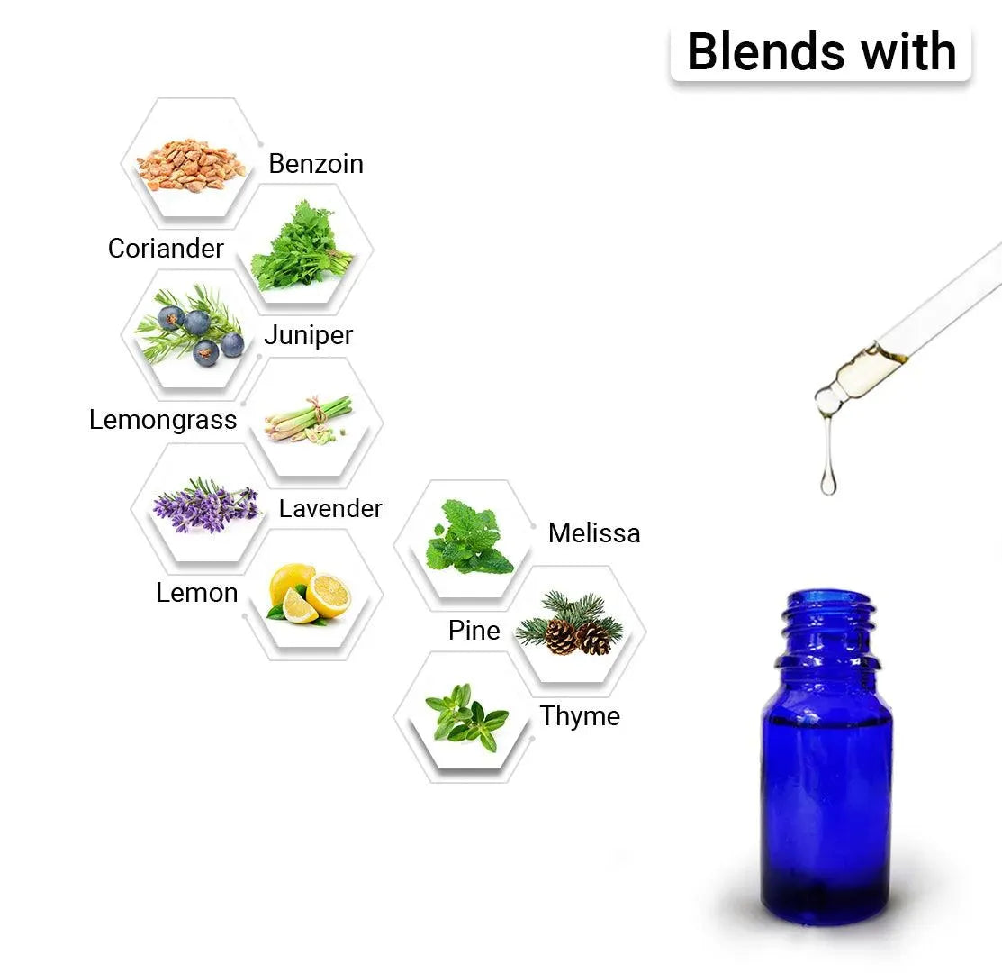 Eucalyptus Essential Oil, Therapeutic, Pure & Natural, Headache, Sinus, Nasal Congestion, Cold & Cough, Antiseptic & Insecticide 10ml 10ml