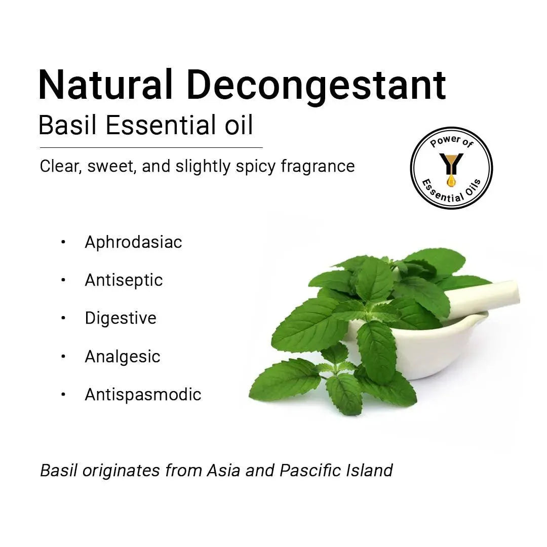 Basil Essential Oil, Therapeutic, Pure & Natural, Holy Basil (Tulsi) Spiritual Concentration, Headache, Digestive & Antiseptic 10ml 10ml