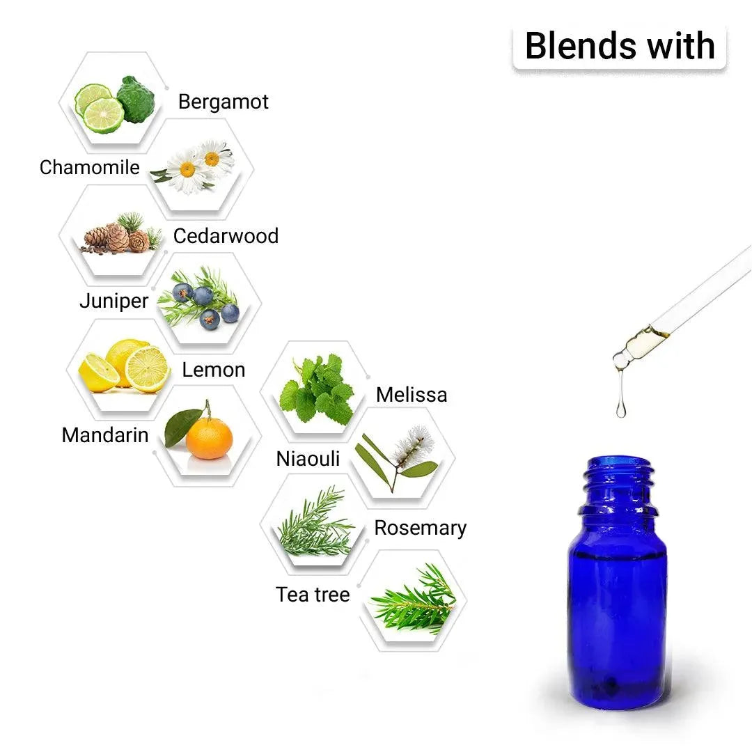 Thyme Essential Oil, Therapeutic Pure & Natural, Antimicrobe, Antiseptic, Immunity Booster, Digestive 10ml 10ml