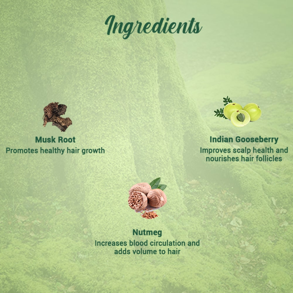 Biotique Musk Root Hair Mask