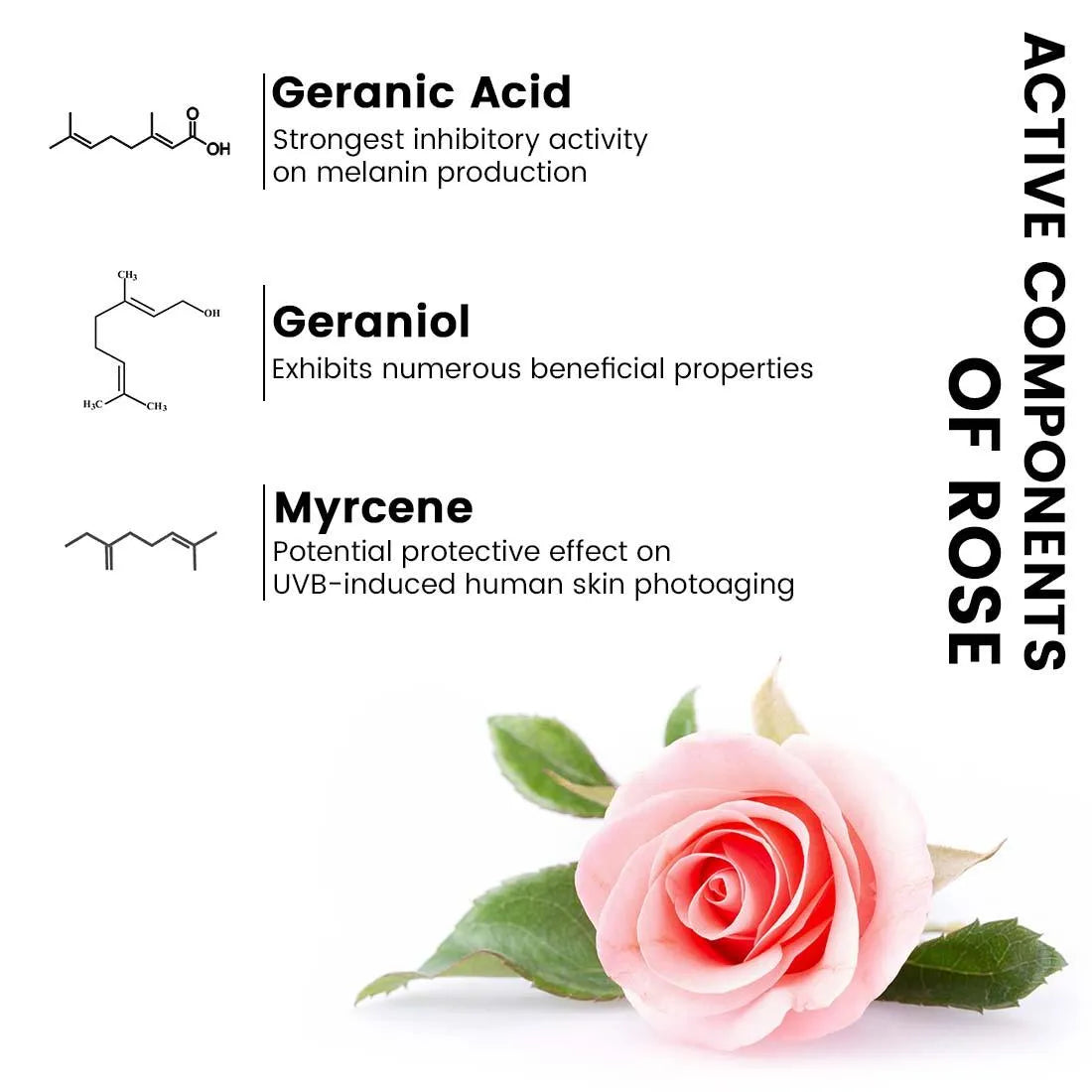 Skin Hydrating Rose Toner, Dry & Sensitive Skin, Glowing Skin, Anti-Ageing, Anti Inflammatory, Alcohol-Free 200ml x 3