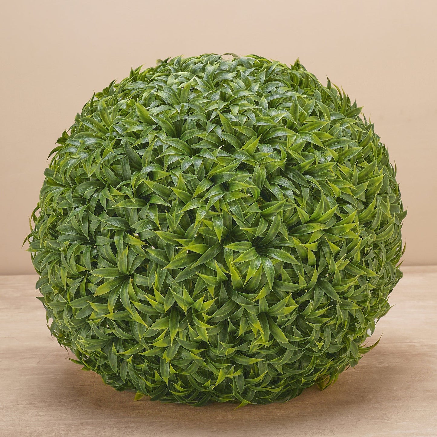 Potted Mini Vanilla Ball Topiary