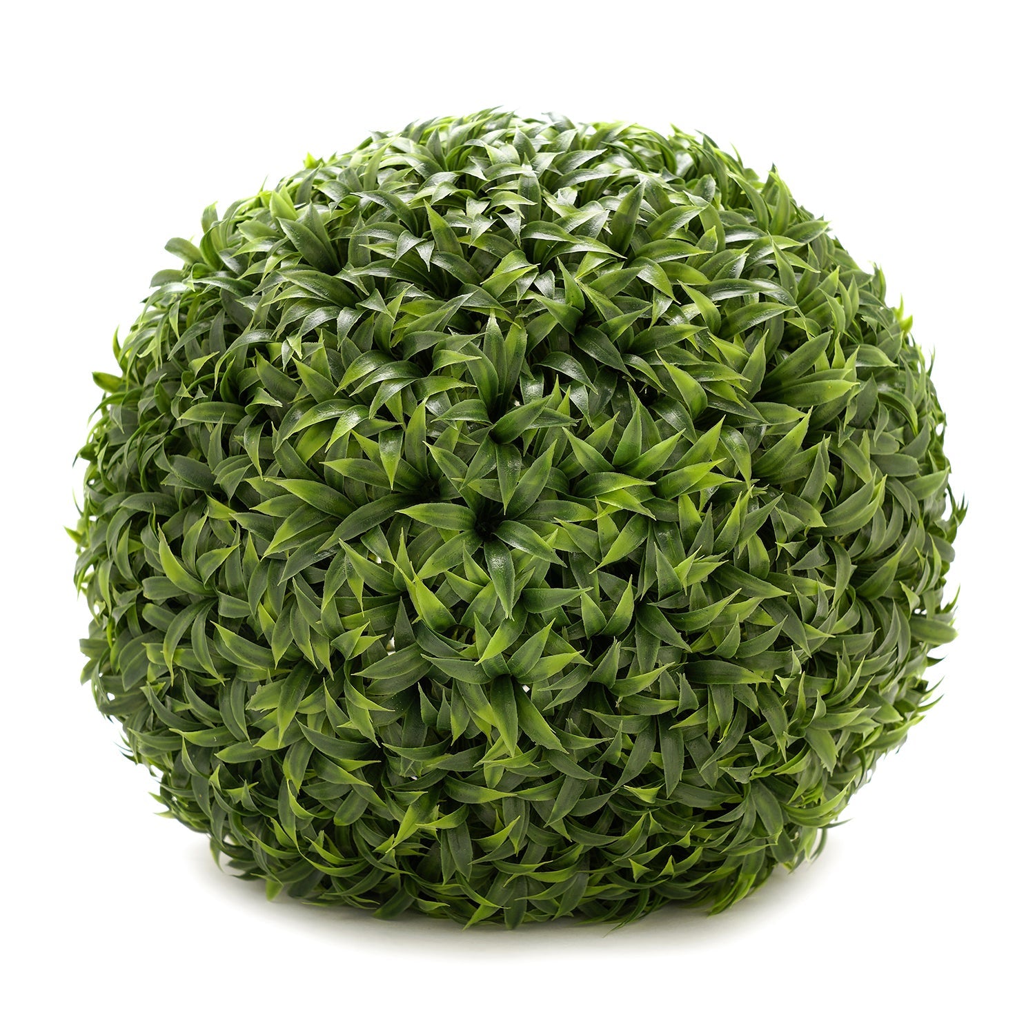 Potted Mini Vanilla Ball Topiary