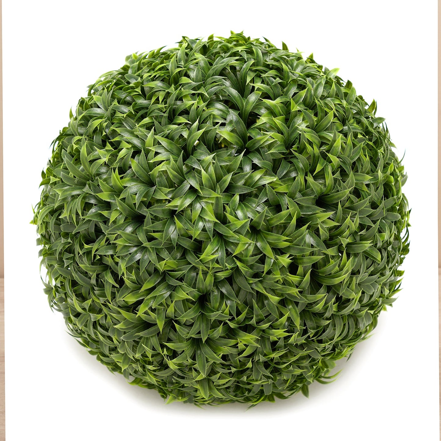 Potted Mini Vanilla Ball Topiary