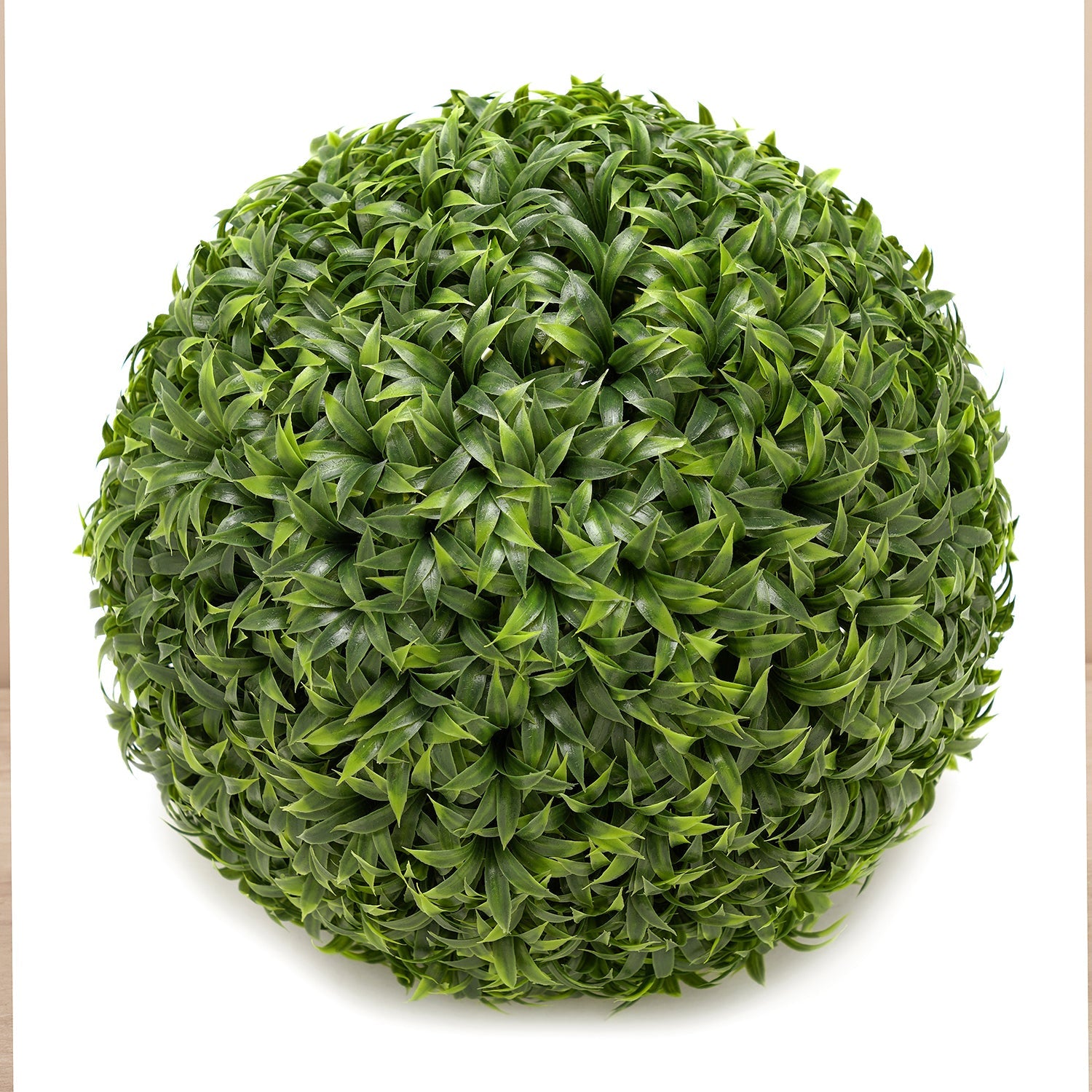 Potted Mini Vanilla Ball Topiary