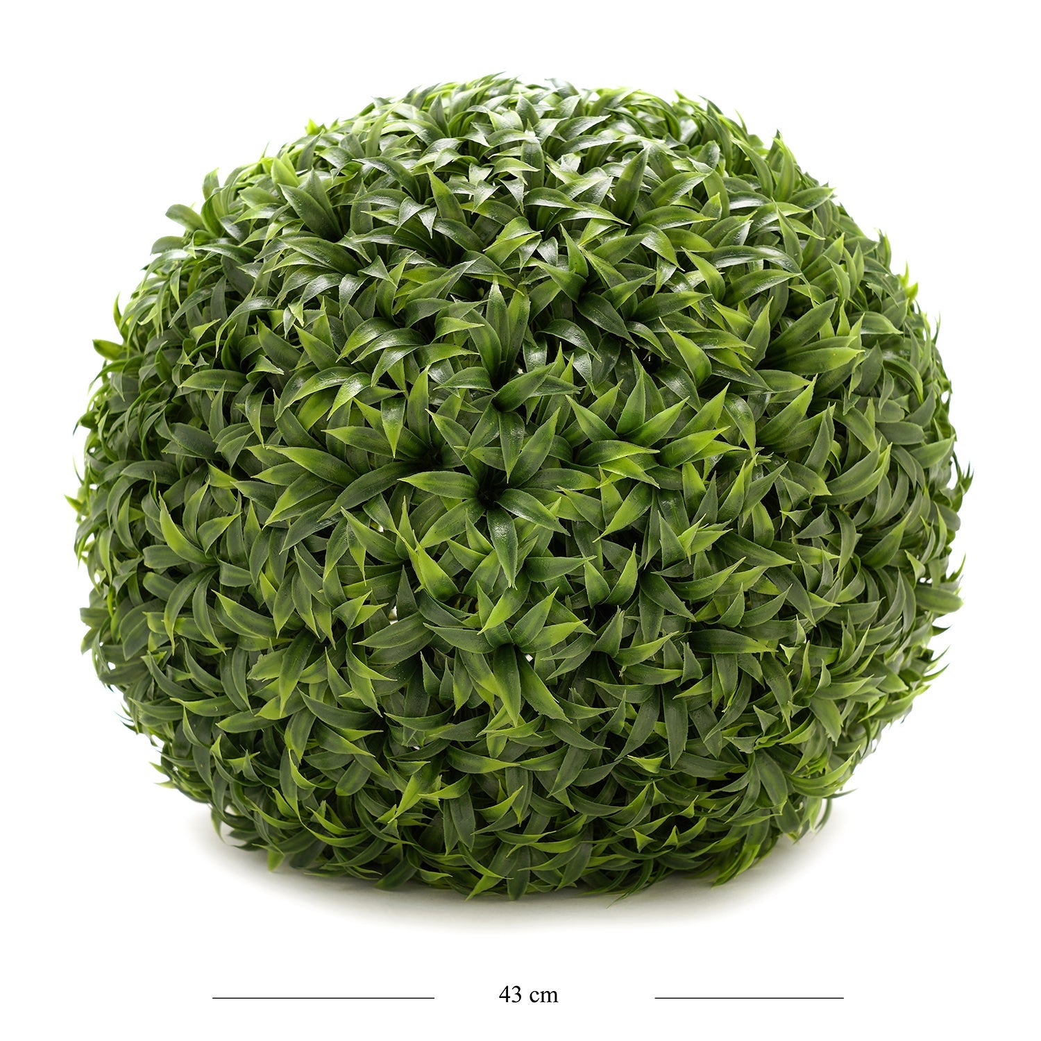 Potted Mini Vanilla Ball Topiary